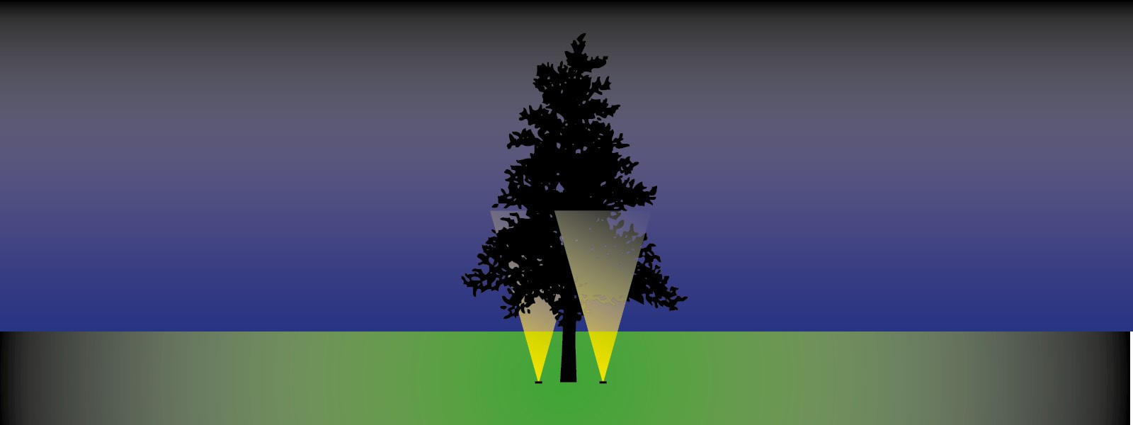 Bomen verlichten met grondspots