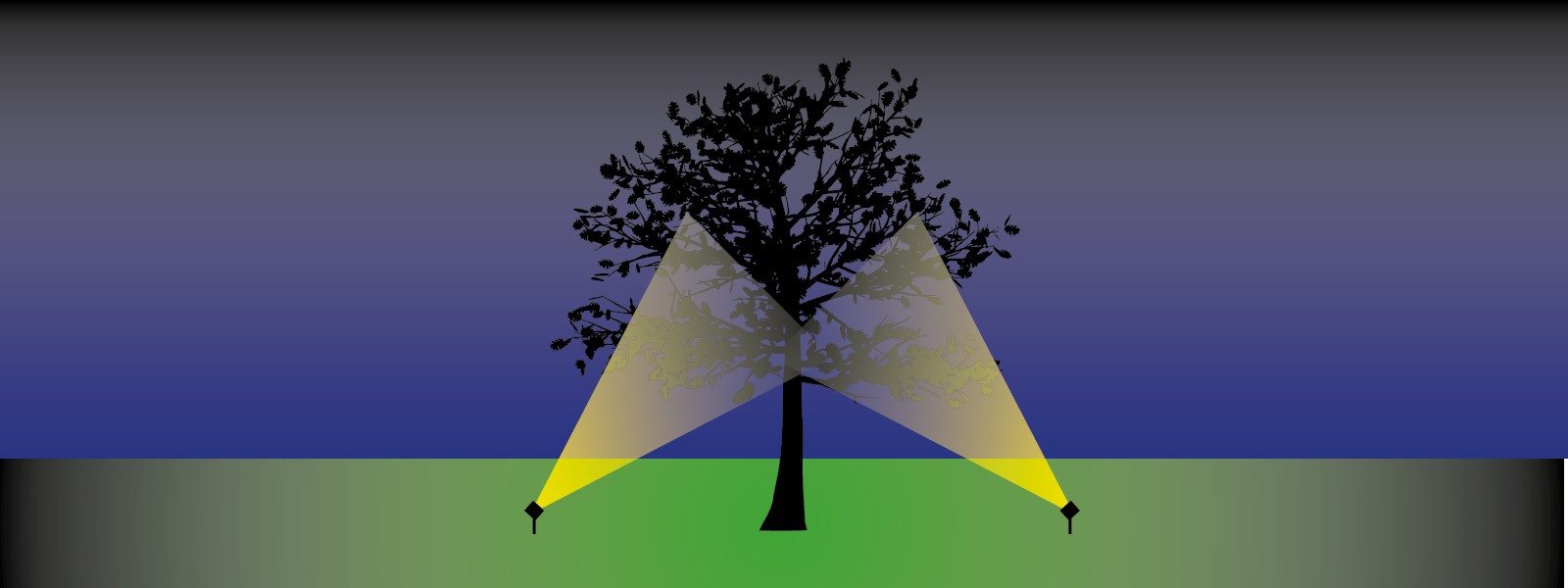 Een hoge boom verlichten: positie van de verlichting ten opzichte van de boom