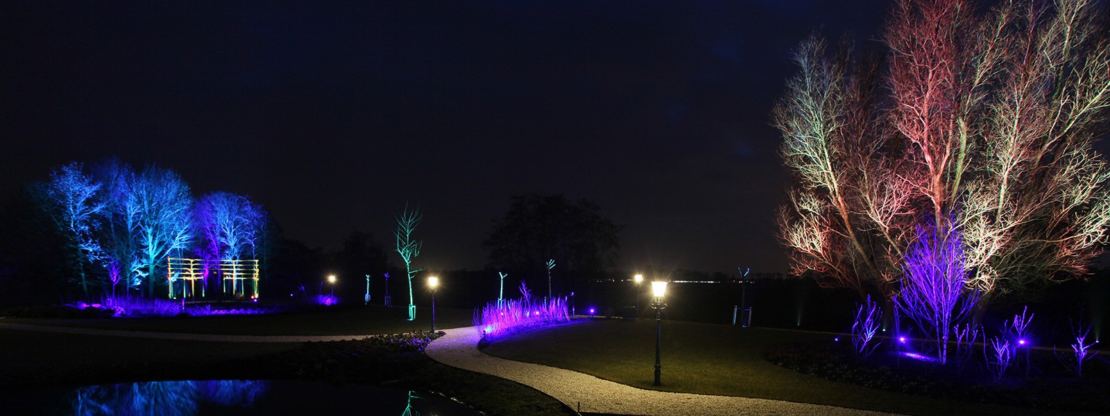 Bomen verlichten met gekleurde verlichting