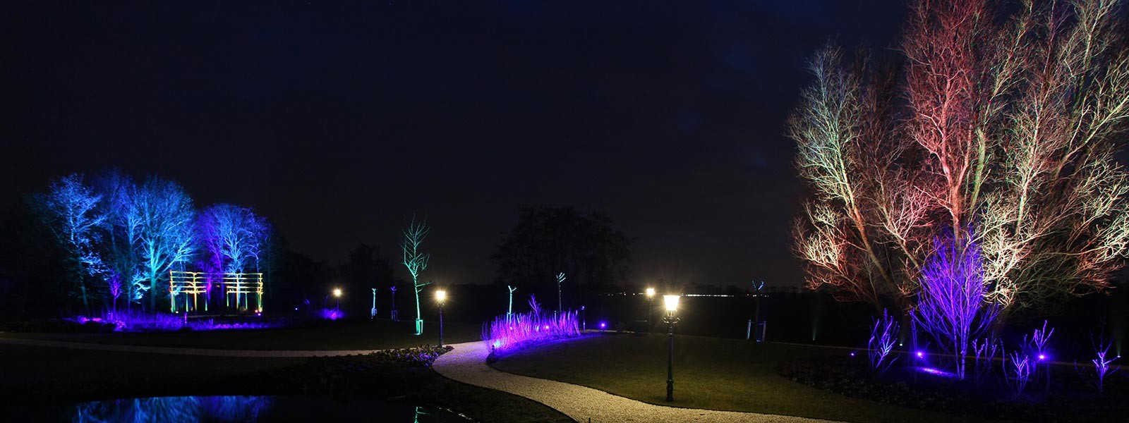 Bomen Tips voor verlichting in de tuin of balkon (Hulp bij van SLV Nederland)